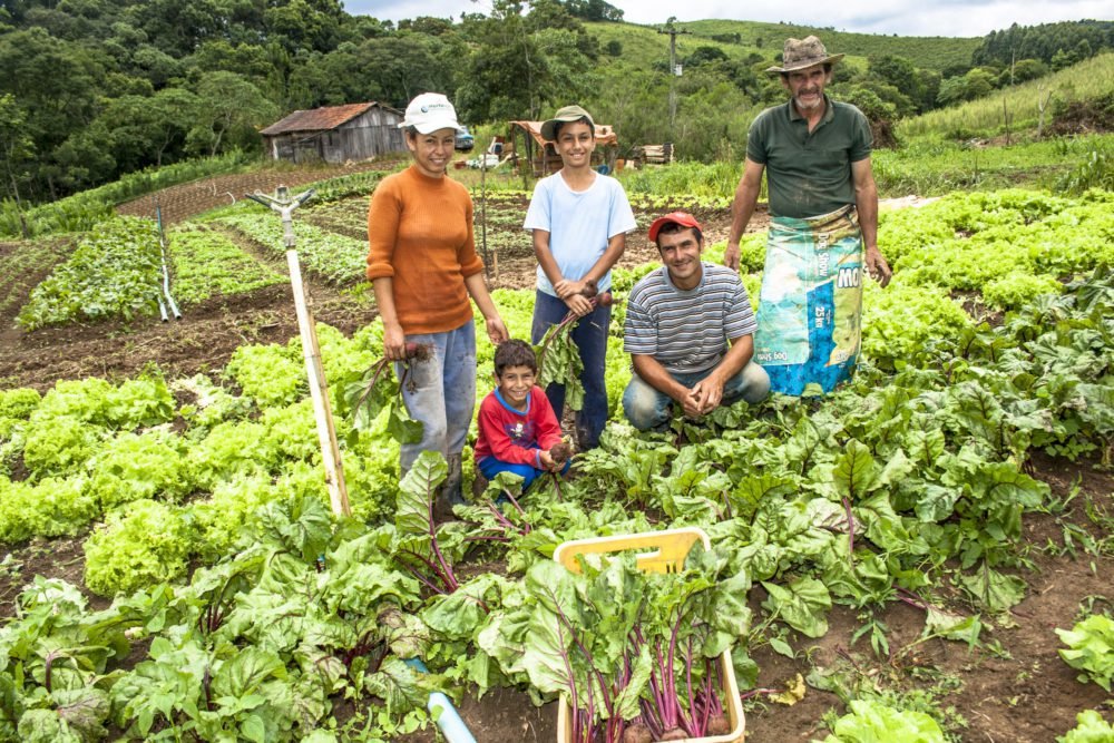 agricultura familiar 690227575 1000x667