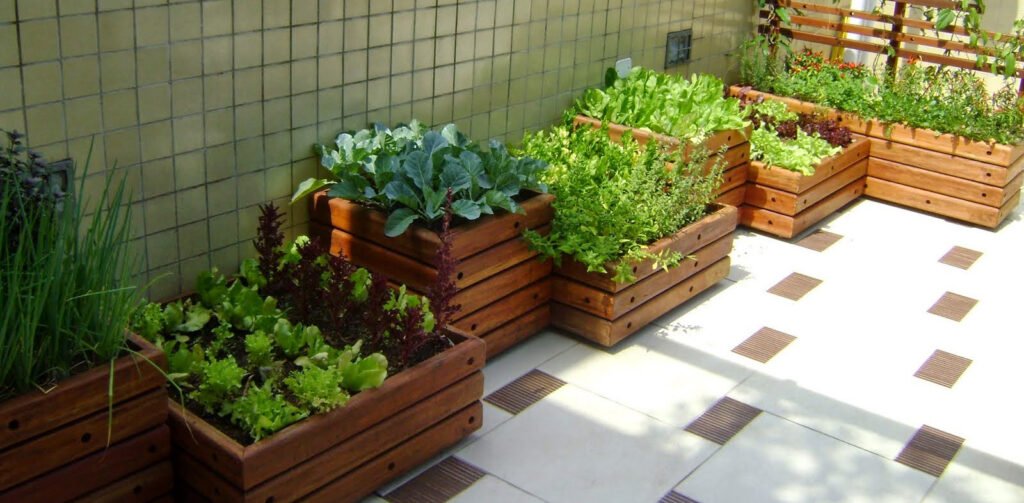 horta em casa